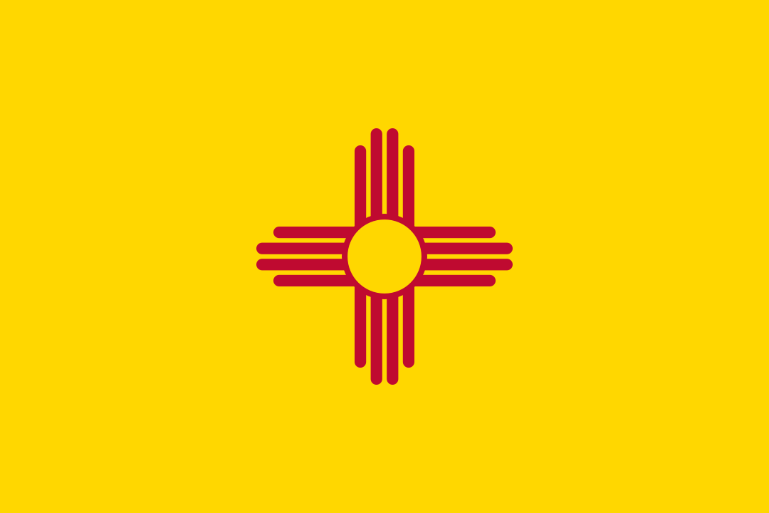 New Mexico LLC