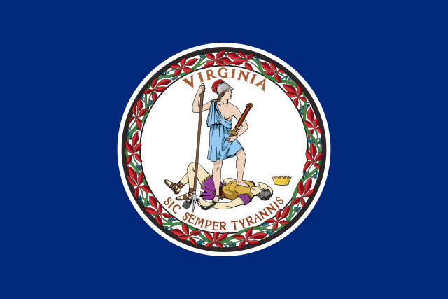 Virginia LLC